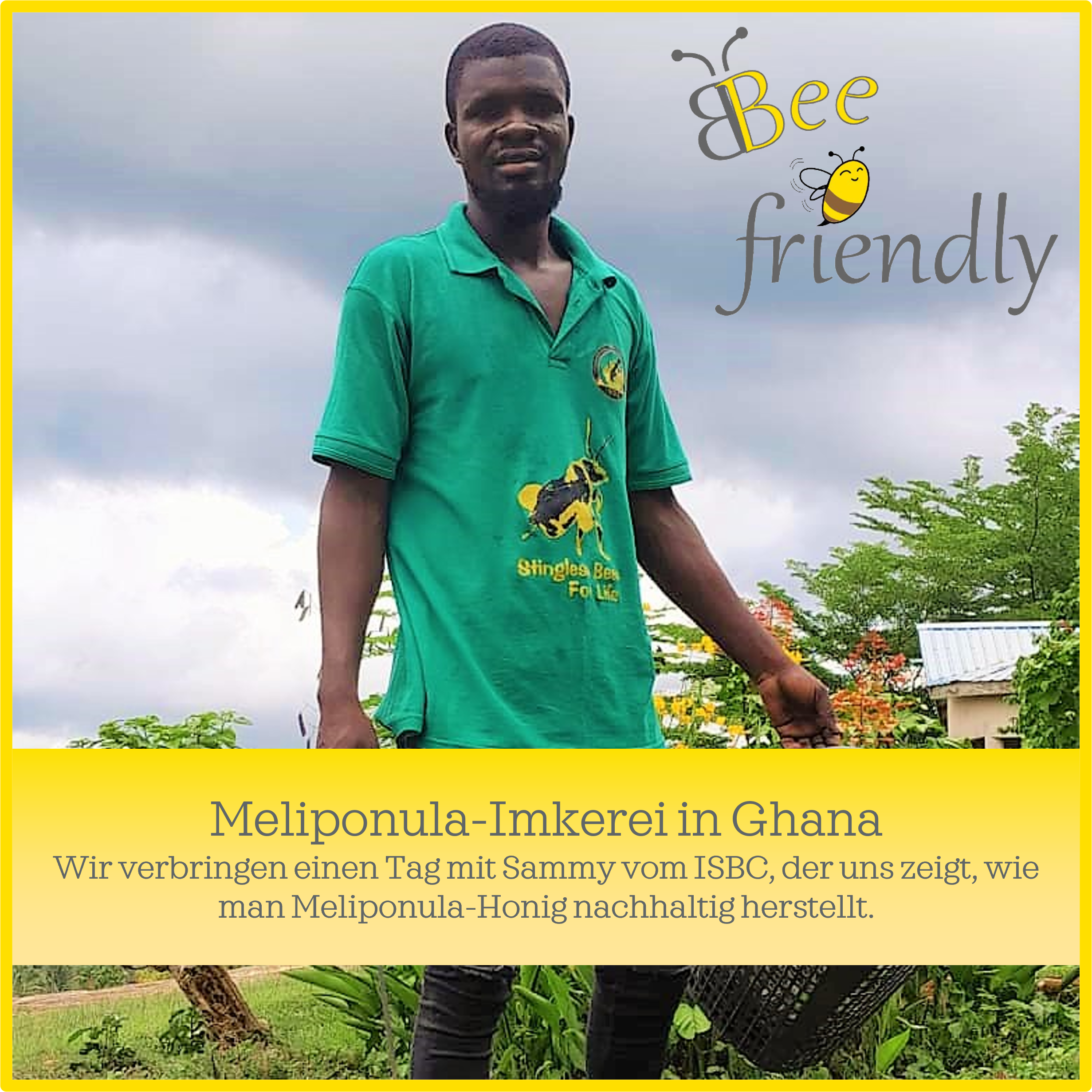 Meliponula-Imkerei in Ghana